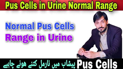 pus cells normal range|Pus Cells in Urine: Normal Range, Causes,.